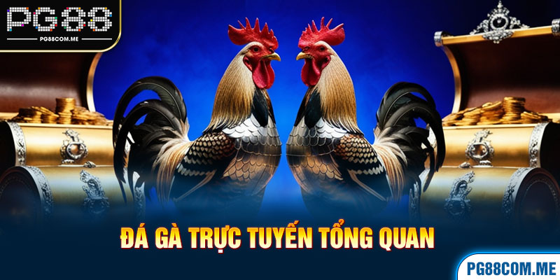 Đá gà trực tuyến tổng quan