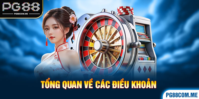 Tổng quan về các điều khoản